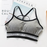 Fitness workout padded sports bra - Absolute - quick dry - 3 colors